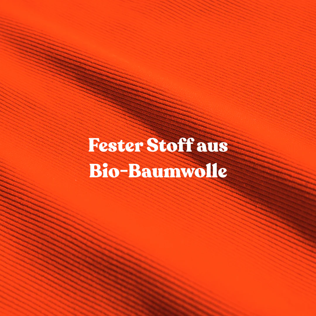 Vorschaubild 8
